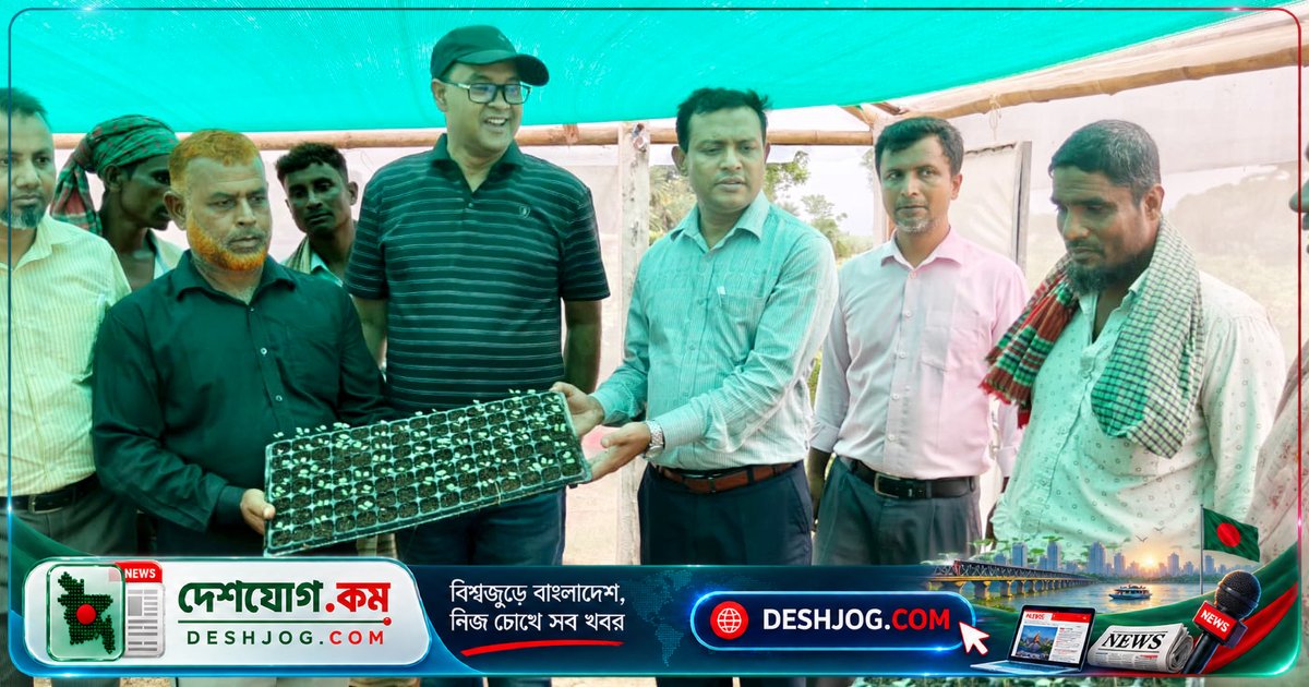 পদ্মার চরে আধুনিক ট্রে পদ্ধতিতে উচ্চমূল্যের সবজির চারা উৎপাদন: কৃষি মন্ত্রণালয়ের প্রশংসা