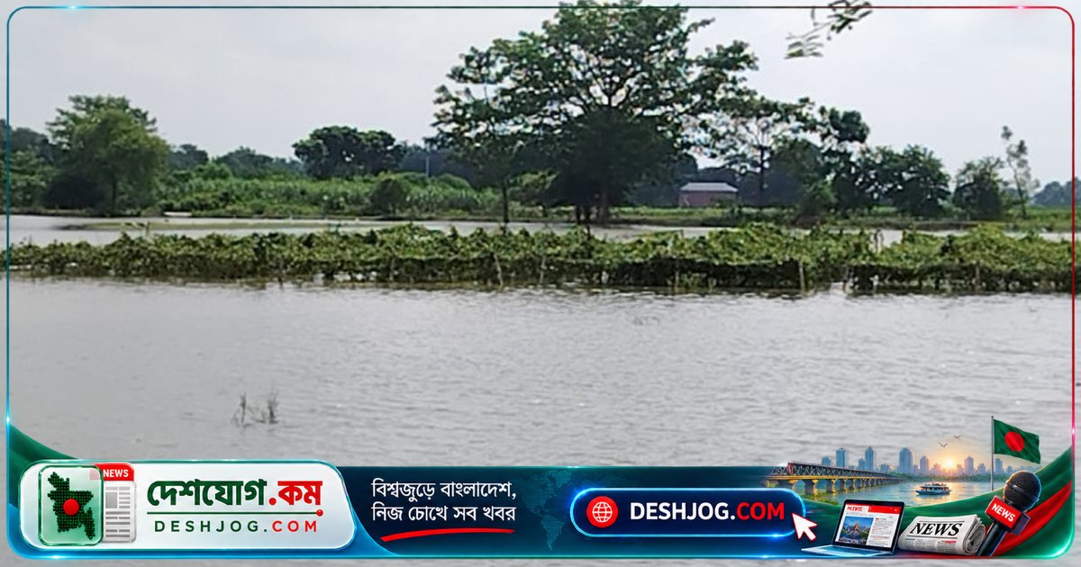 পদ্মা নদীর বিপদসীমা লাঞ্ছিত: লালপুরের চরাঞ্চলে প্লাবিত ৫০২ হেক্টর জমি ও ৫০টি বাড়ি