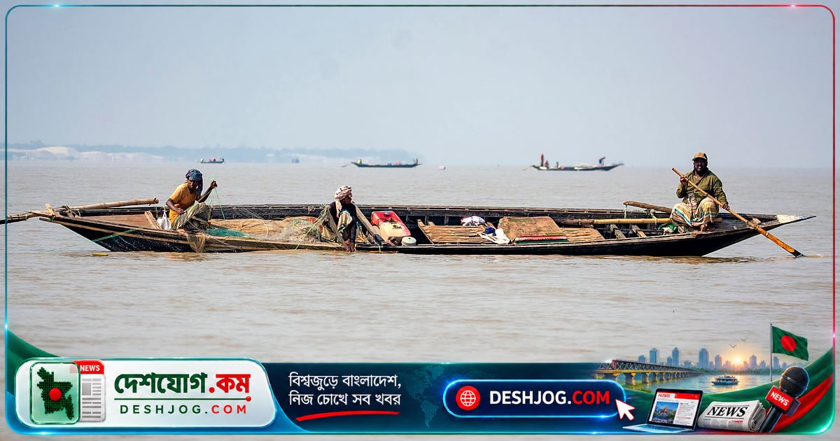 পদ্মা-মেঘনার ইলিশের স্বাদের গোপন রহস্য: প্ল্যাঙ্কটন থেকে শুরু করে নদীর যাত্রা
