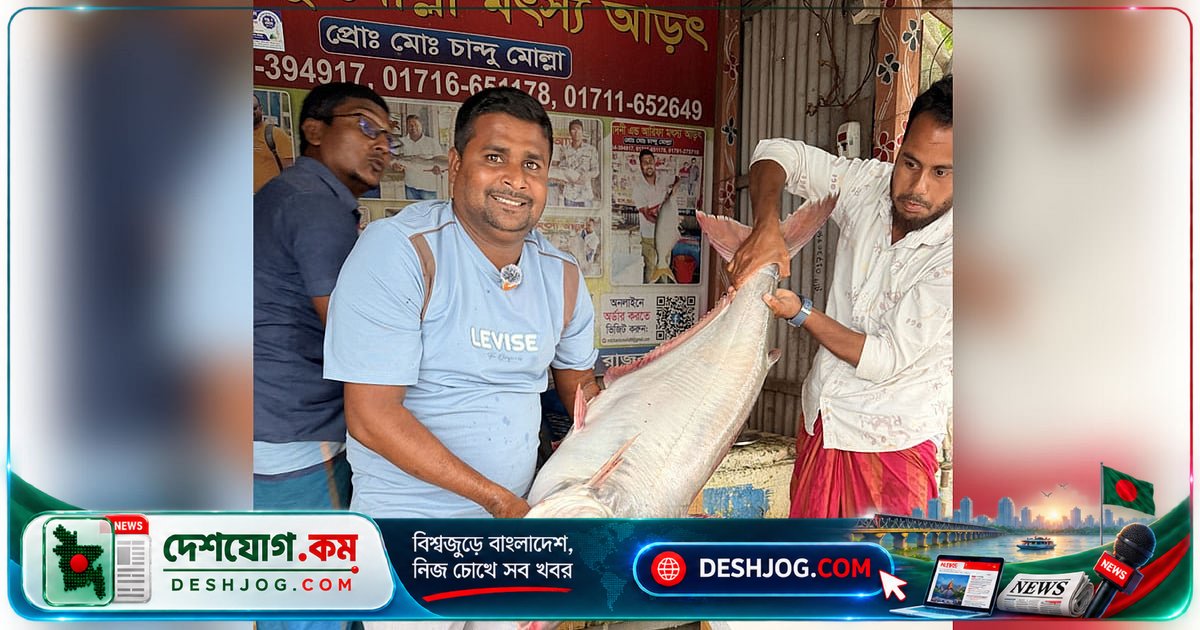 পদ্মা নদীর ২১ কেজি পাঙাশ বিক্রি হয় ৪৯ হাজার ৬০০ টাকায়, বাগাড় দুটি ৪২ হাজার টাকায়