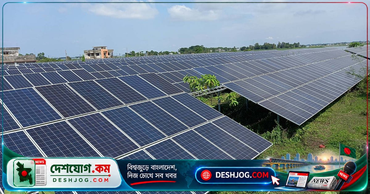পদ্মার চরে ১০০ মেগাওয়াট সৌরকেন্দ্র: তেল-কয়লা থেকে ৫০% কম খরচে বিদ্যুৎ সরবরাহ করছে বেসরকারি উদ্যোগ