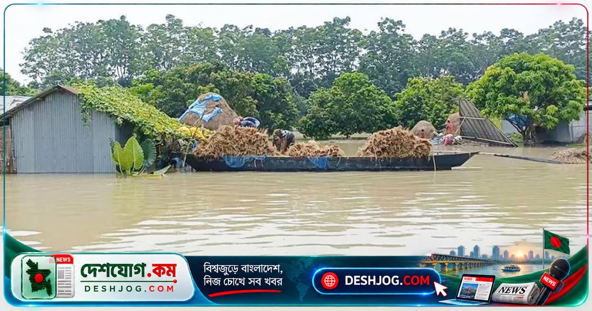 চাঁপাইনবাবগঞ্জে পদ্মা নদীতে পানি কমলেও মহানন্দা-পুনর্ভবায় বন্যা চরমে, ৪ হাজার ৩০০ পরিবার পানিবন্দী