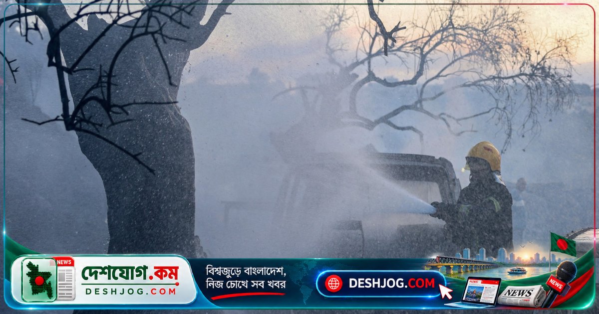 ফিলিস্তিনে অলিভ হার্ভেস্টের শুরুতে বসতি স্থাপনকারীদের আক্রমণে নিহত ও আহত হাজারো পালেস্টাইনীয়