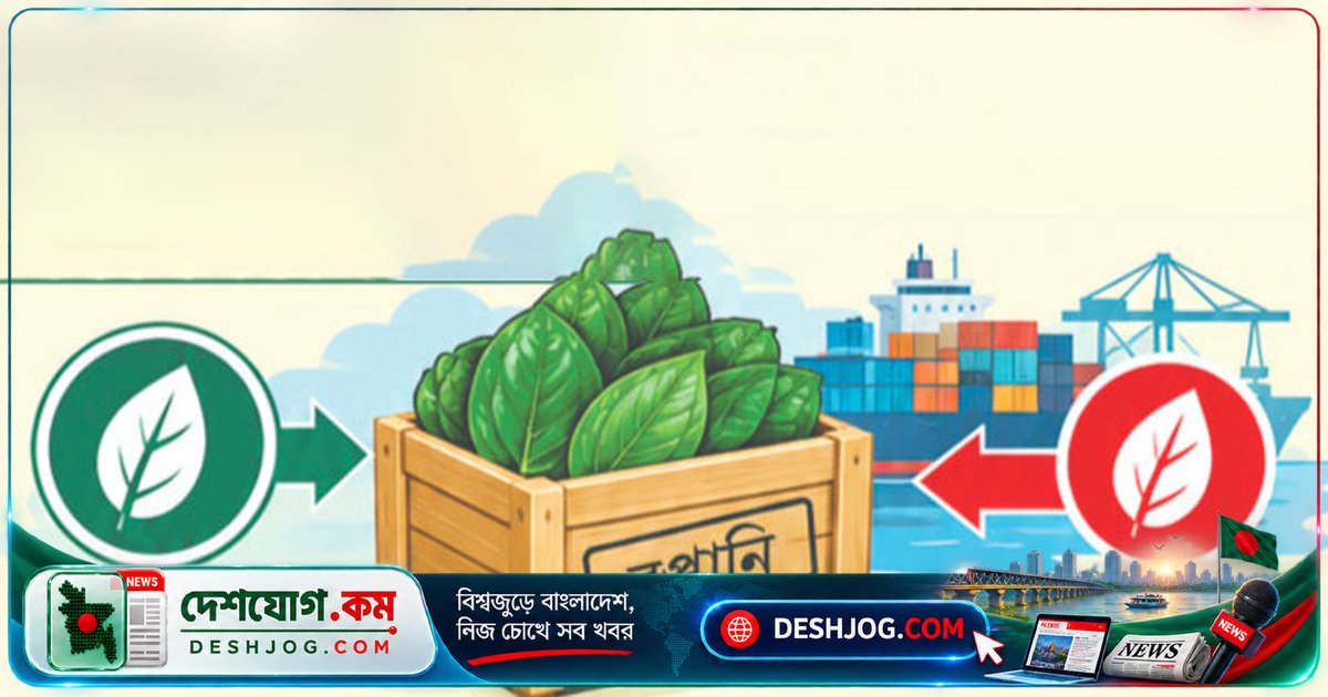 পান রপ্তানির দ্বন্দ্ব শেষে এক হাজার কোটি টাকার সম্ভাবনা: সুপ্রিম কোর্টের রায়ের পর বৈশ্বিক বাজারে নতুন জোয়ার