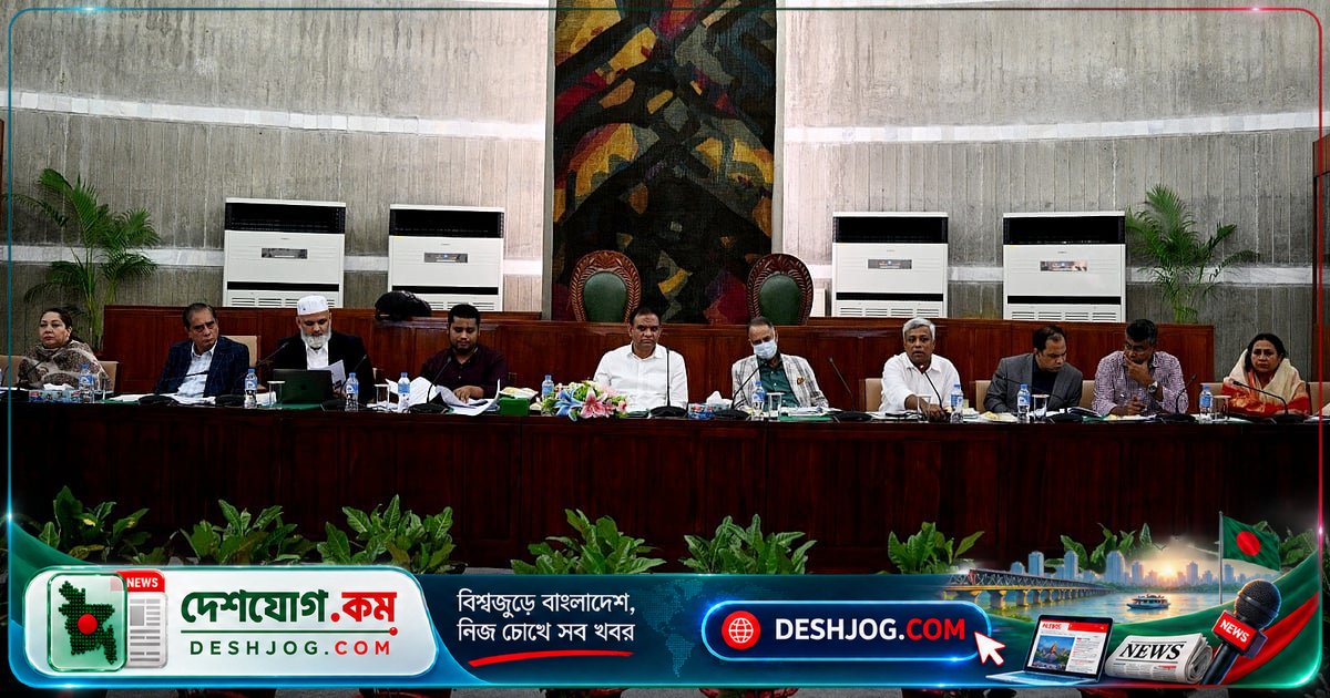 সংসদ কমিটিতে জ্বালানি দাম বৃদ্ধি ও ক্যাপাসিটি চার্জ নিয়ে তীব্র প্রশ্ন উঠে, গণশুনানি ও ফরেনসিক অডিটের দাবি