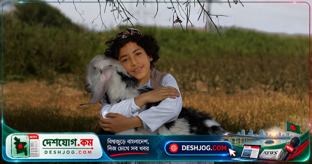 পরকালে অবলা প্রাণীদের কি থাকবে প্রতিদান? ইসলামের ন্যায়বিচার কী বলে?