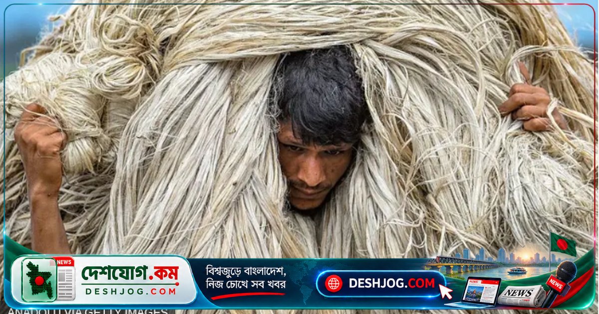 পাট পাচারের অভিযোগে উত্তেজনা: কুড়িগ্রাম থেকে ভারতের বাজারে কেন চলে যাচ্ছে বাংলাদেশের পাট?