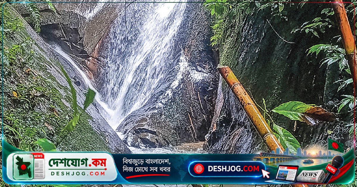 পাথারিয়া পাহাড়ের গহ্বরে প্রকৃতির মায়াবী নাচ: ঝিরির শীতল আলিঙ্গন থেকে টাইগার জোঁকের বাধা পর্যন্ত যাত্রার স্মৃতিচারণ