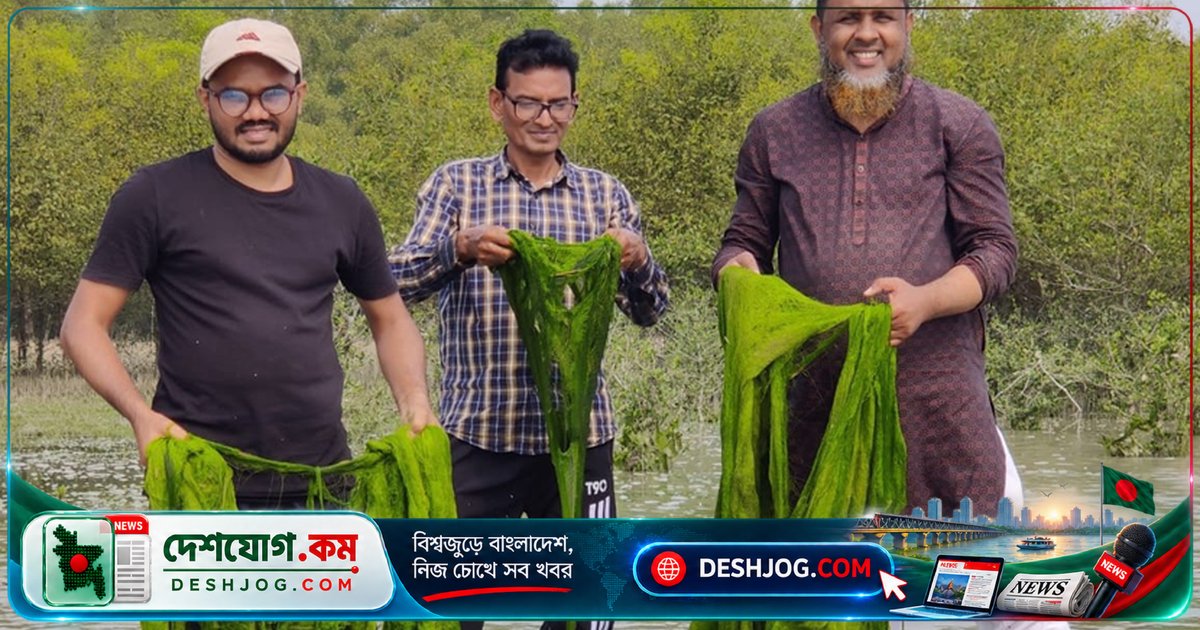 পটুয়াখালীর উপকূলে সামুদ্রিক শৈবাল চাষে নতুন কর্মসংস্থানের সম্ভাবনা