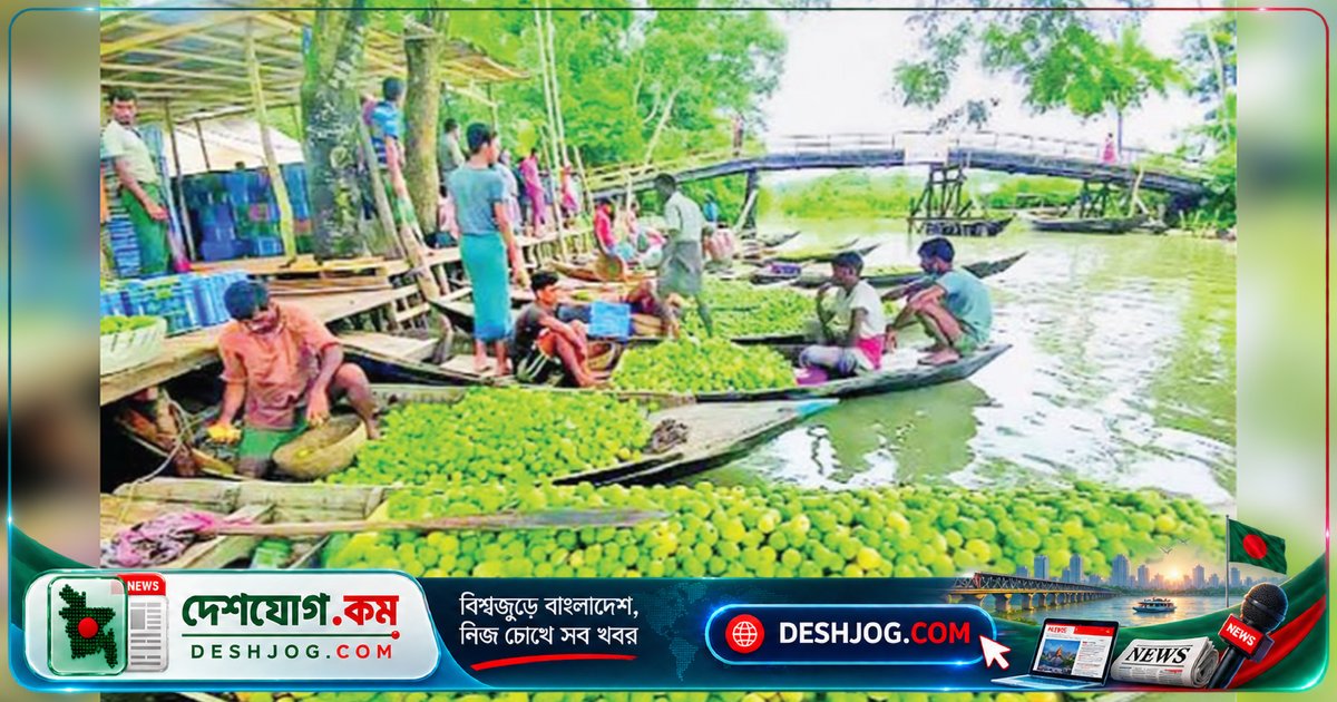 পেয়ারা বাগানের ভাসমান বাজার থেকে পর্যটন কেন্দ্রে রূপান্তর: আটঘর-কুড়িয়ানার নতুন অর্থনৈতিক সম্ভাবনা