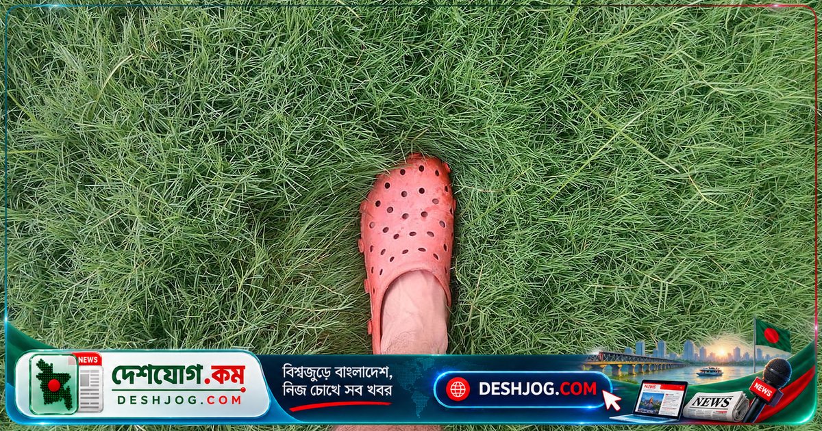 প্লাস্টিকের স্যান্ডেল পরলে ক্যানসার পর্যন্ত হতে পারে ঝুঁকি: বিজ্ঞানীরা সতর্ক!