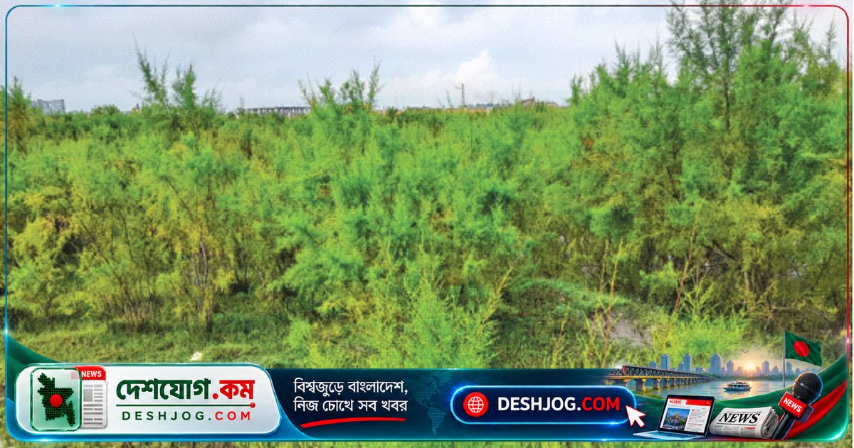 পবন ঝাউ: প্রাকৃতিক আবাসে বুনো পরিবেশের রহস্য ও বৈজ্ঞানিক গবেষণার সাক্ষ্য