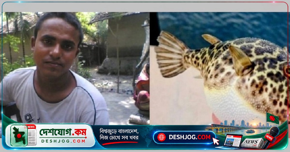 পটকা মাছের বিষক্রিয়ায় সাতক্ষীরায় পরিবার পাঁচজনের জীবন বিপদে, একের মৃত্যু
