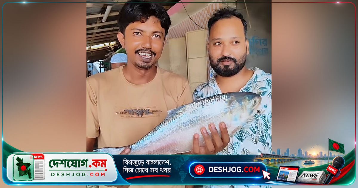 পটুয়াখালীর মহিপুরে ১ কেজি ৯০০ গ্রাম ইলিশ বিক্রি হয় ৬ হাজার ৬৫০ টাকায়, ক্রেতা দাম দিলেন ৩ হাজার ৫০০ টাকা কেজি দরে