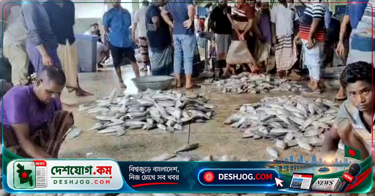 পটুয়াখালী জেলে ফিরলেন কম ইলিশ নিয়ে, দাম কমেনি বাজারে