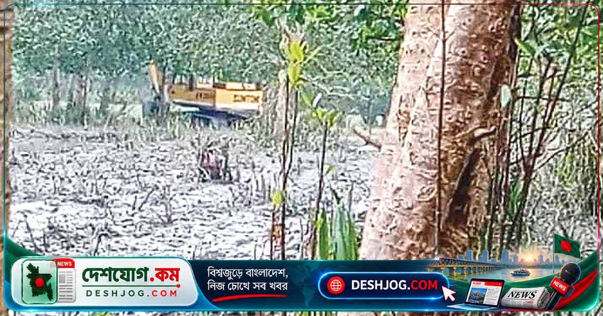 পটুয়াখালীর গলাচিপা উপজেলায় বিএনপি নেতার ভাই বনায়ন ধ্বংস করে তরমুজখেত তৈরি, বন বিভাগের জিডি