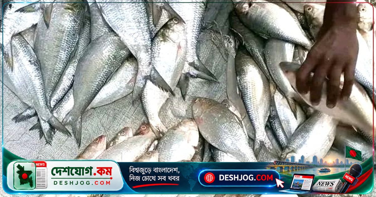 পটুয়াখালীতে মাদ্রাসার নামে ইলিশ আত্মসাত: শিক্ষক ও বাসিন্দাকে ৮০ হাজার টাকা জরিমানা