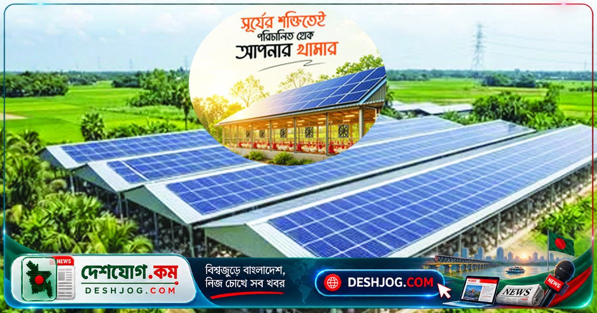 পোল্ট্রি খামারের বিশাল ছাদে সৌরবিদ্যুৎ: ৪ হাজার ৫০০ মেগাওয়াটপিক উৎপাদন সম্ভব, বিদ্যুৎ সংকট মোকাবিলায় নতুন সম্ভাবনা