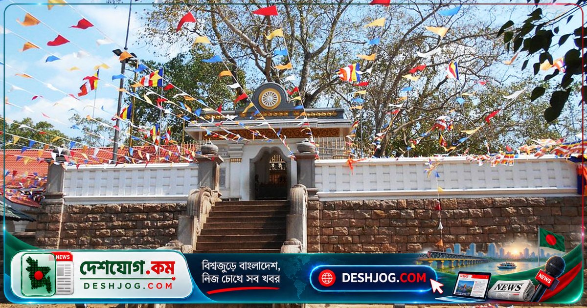 পৃথিবীর প্রাচীনতম জীবন্ত বিস্ময়: শতাব্দী ধরে টিকে থাকা ১০টি জীবন্ত সাক্ষী