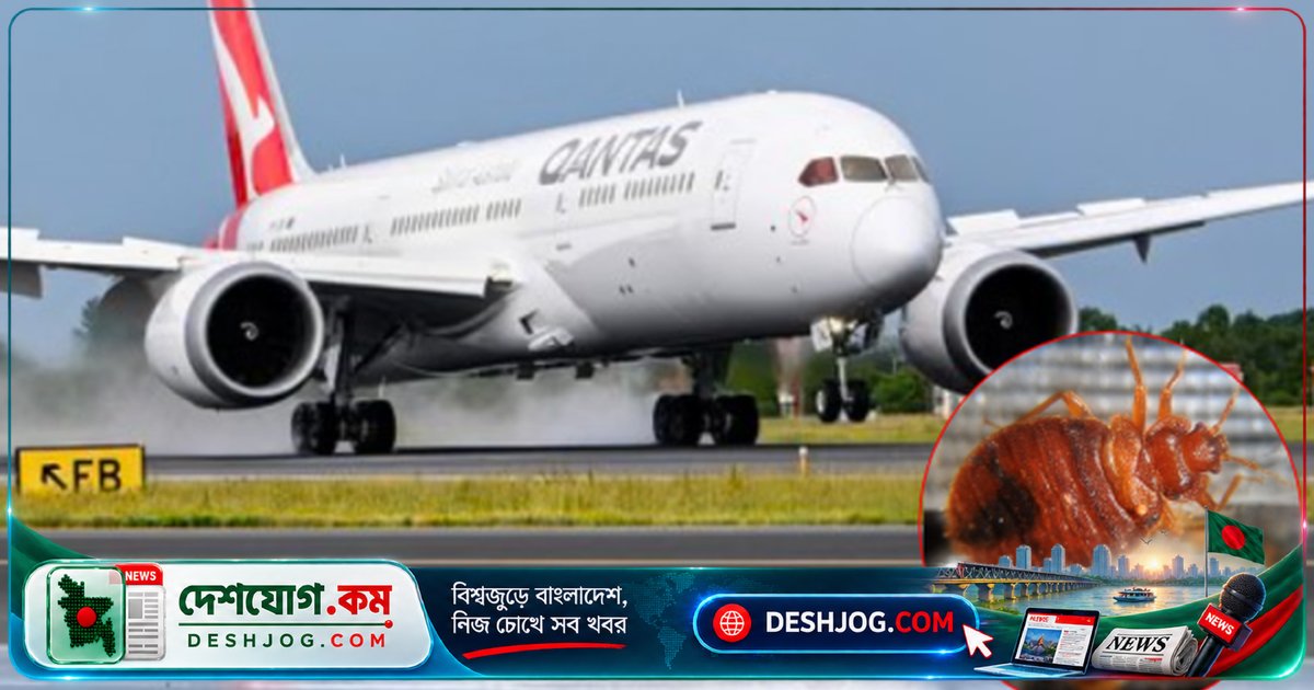 রোমে ছারপোকা সংক্রমণে কোয়ান্টাসের ফ্লাইট বাতিল, ১০ অক্টোবরের যাত্রীদের পাঠানো বিকল্প ভ্রমণ