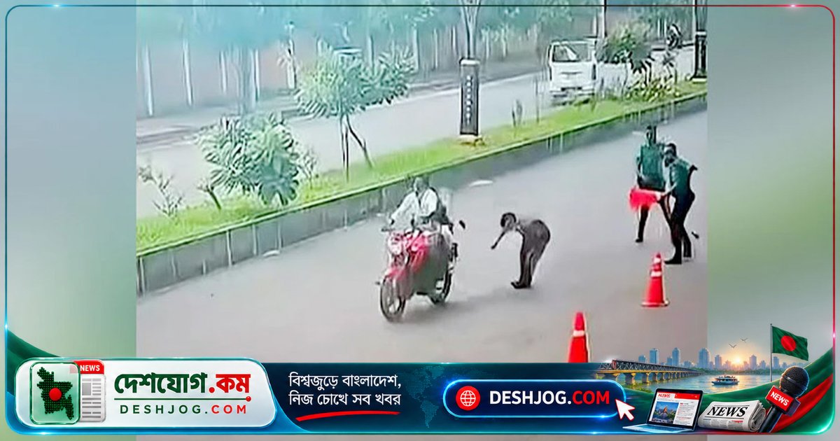 রাজশাহীতে সিগন্যাল অমান্য করে পালানোর সময় পুলিশ সদস্যদুয়কে ধাক্কা, দুজন আহত হাসপাতালে চিকিৎসাধীন