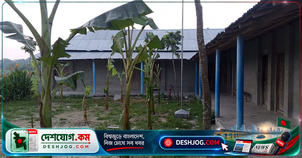 রাজশাহীর স্কুলে তালা ও কলাগাছ: দাতা সদস্য দাবি করলেন চাকরি না দেওয়ায় প্রতিষ্ঠান বন্ধ