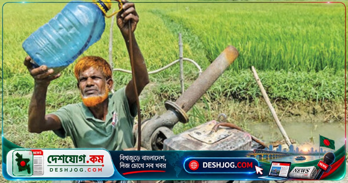 রংপুরের কৃষকদের ডিজেল দামবৃদ্ধি: বোরো চাষে ১৩০ কোটি টাকার অতিরিক্ত খরচের চাপ