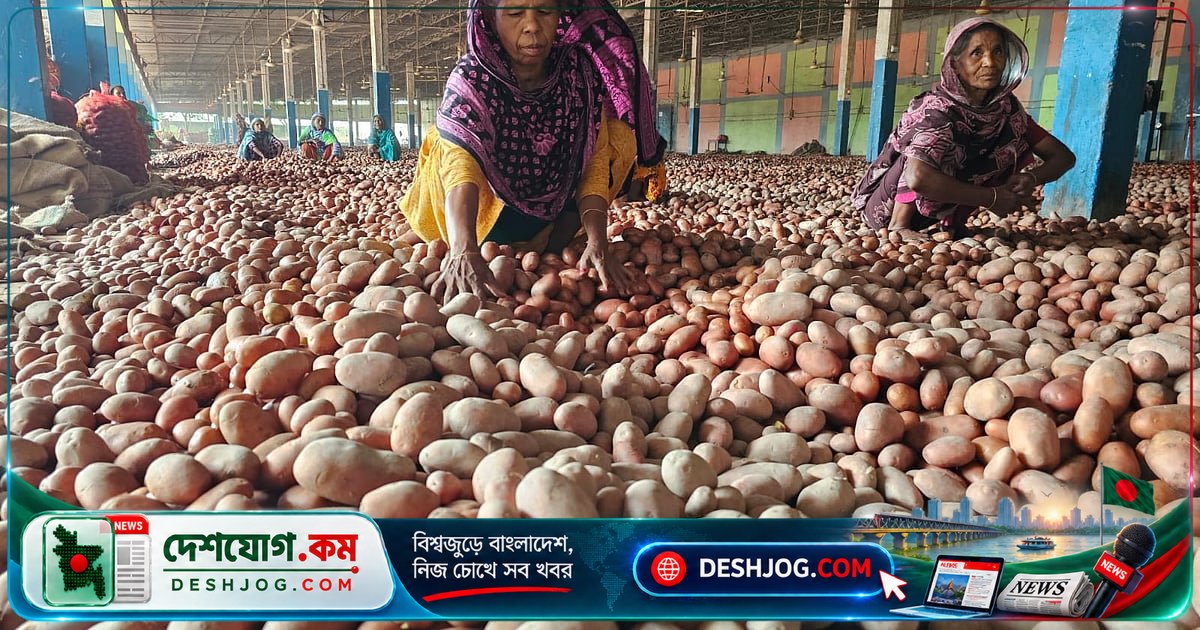 রংপুরের আলুচাষিরা ১২ বছরে ৭ বারই লোকসান, বর্তমান মৌসুমে সংকটের চরমে