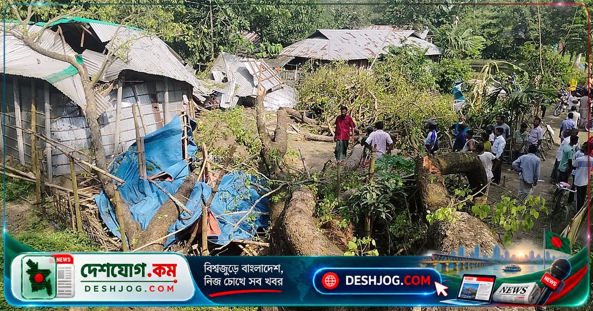 রংপুরে টিনের ঘরে পড়ে বিশাল গাছ: গৃহবধূ নিহত, স্বামী আহত, শিশু উদ্ধার