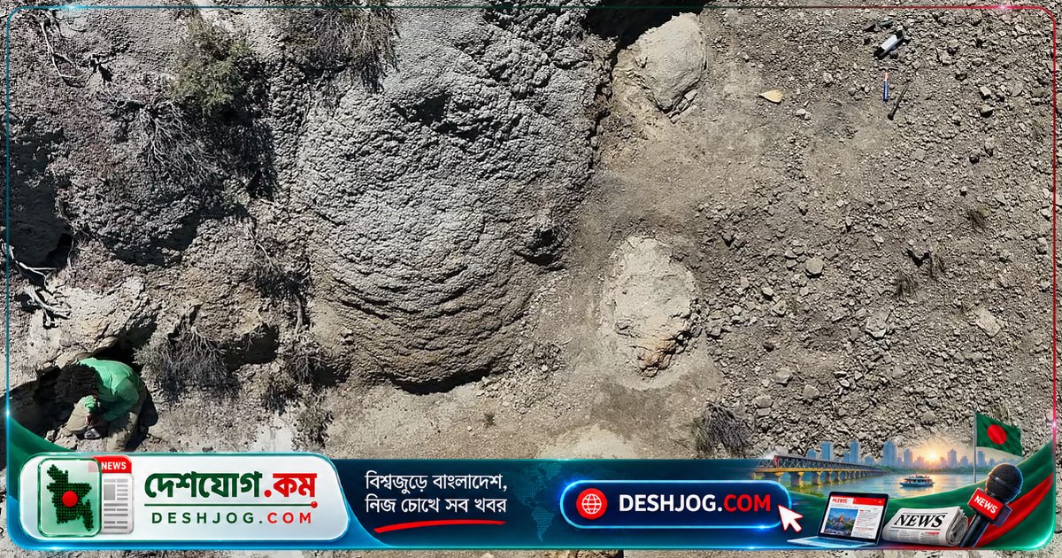 হেল ক্রিক ফরমেশনে বিরল আবিষ্কার: শিক্ষক খুঁজে পেলেন টি-রেক্সের পাঁচটি পায়ের ছাপের ধারাবাহিক ট্র্যাকওয়ে
