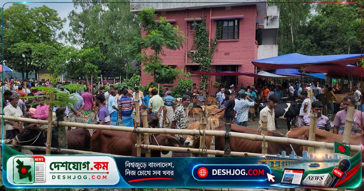 রায়পুরা স্বাস্থ্যকেন্দ্রে গরুর হাটের কারণে ইজারা বাতিলের হুঁশিয়ারি: নোটিশে দায়িত্বশীলতার সতর্কবার্তা