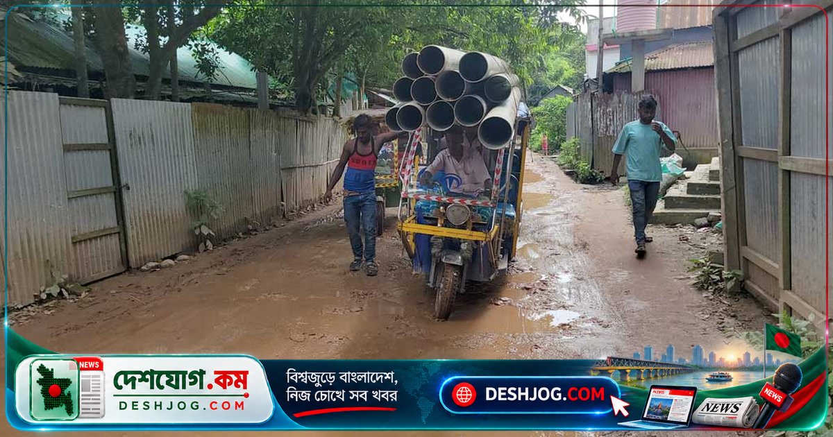 রায়পুরা-নীলকুঠি সড়কের দীর্ঘ অবহেলায় হাজারো মানুষের জীবনে দুর্ভোগ