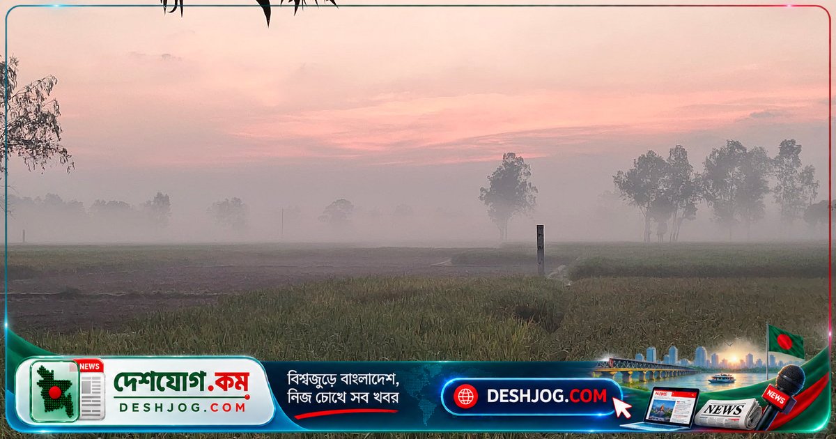 অক্টোবর ২৭ তারিখের পাঠকের ছবি: শীতের আগমন, ধানপাকার কাহিনী ও প্রকৃতির রূপকল্প