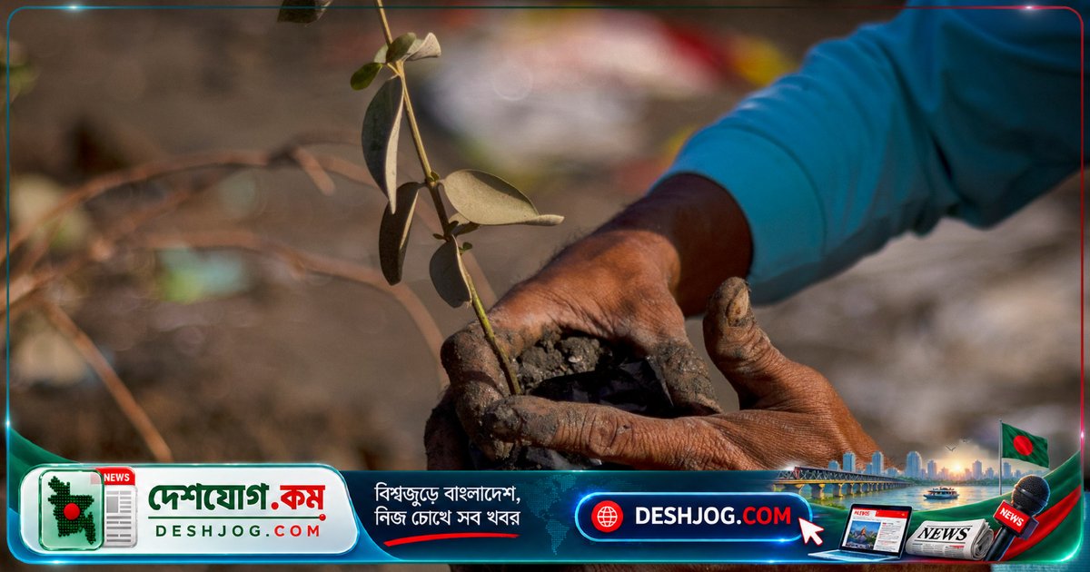 প্রাকৃতিক পরিবেশ পুনরুদ্ধার: বিশ্বের টিকিয়ে রাখার একমাত্র উপায়