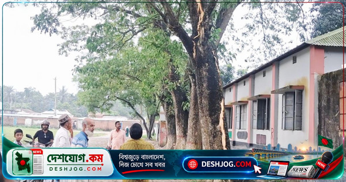 কিশোরগঞ্জে বজ্রপাতে স্কুলের পাশের গাছ ভেঙে পড়লে ৭ শিক্ষার্থী আহত, তিনজন জ্ঞান হারায়