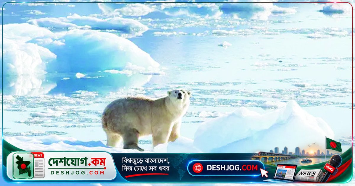 আফগান যুদ্ধের স্মৃতিতে ভল্লুকের ফাঁদ: প্রফেসর কোভালের কাবুলের বরফ ও বাধা
