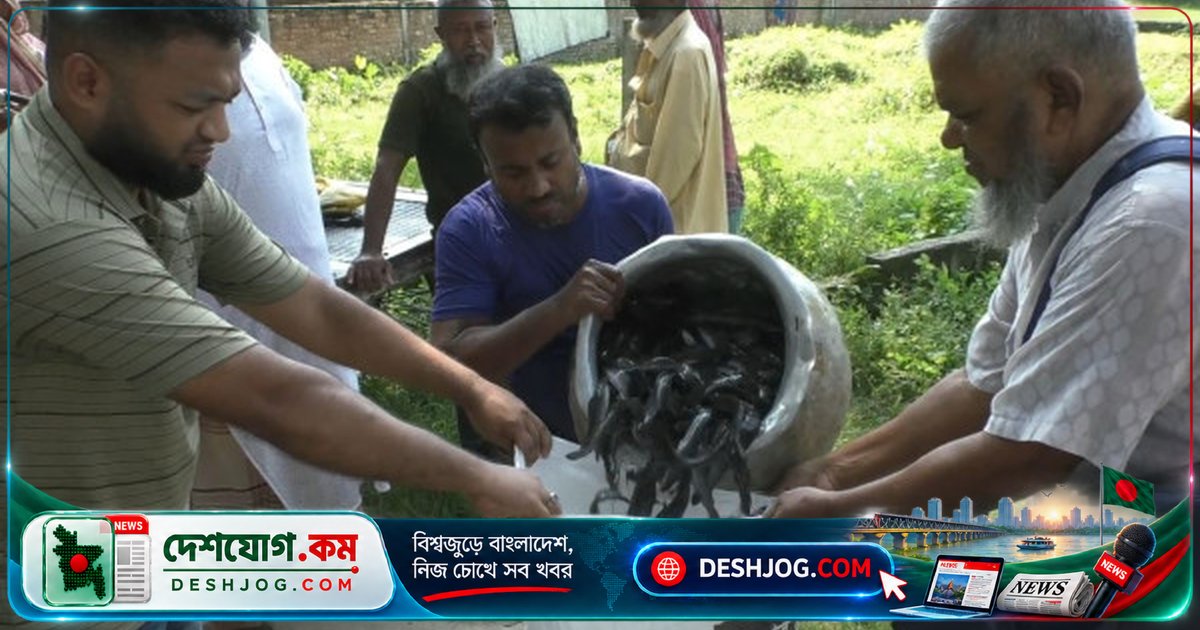 যশোরে নিষিদ্ধ আফ্রিকান মাগুরের ৭ টন জব্দ, চাষিকে ২০ হাজার টাকা জরিমানা করা হয়
