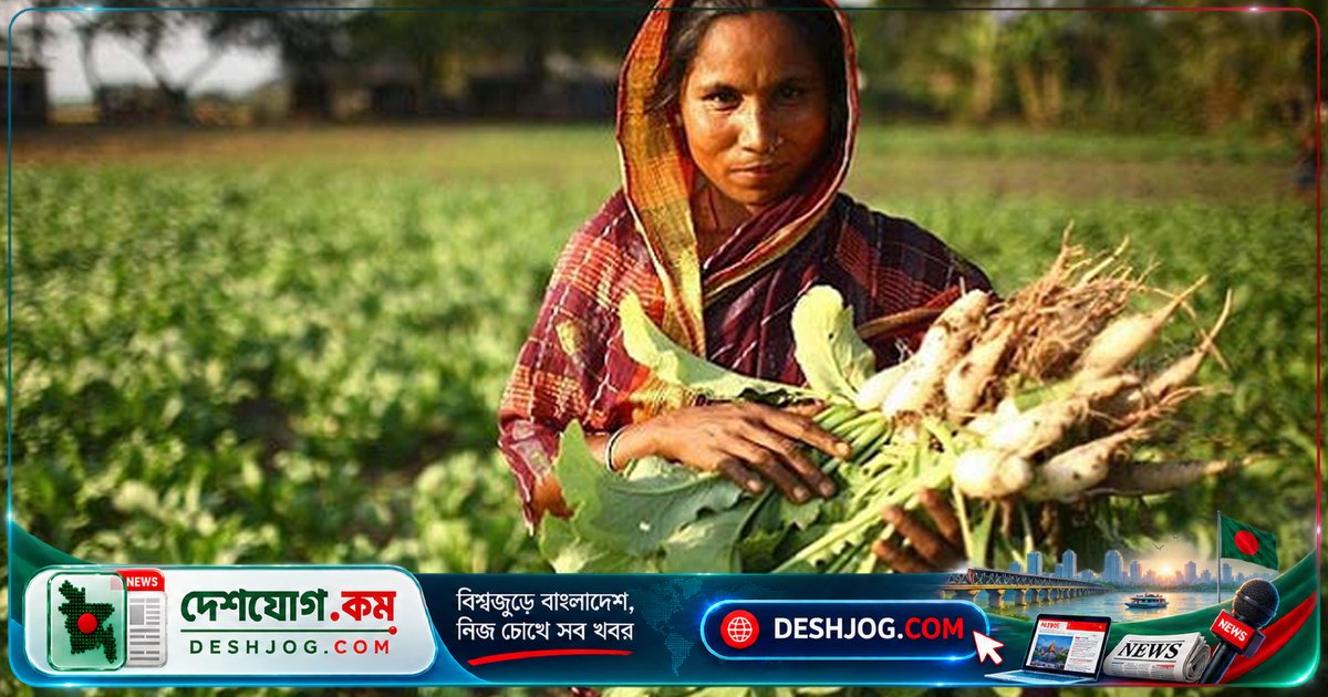 ১৭ কোটি মানুষের খাদ্য সরবরাহে রহিমা-সালেহাদের অদৃশ্য ভূমিকা: কৃষিতে নারীর অমিত শ্রমের গল্প