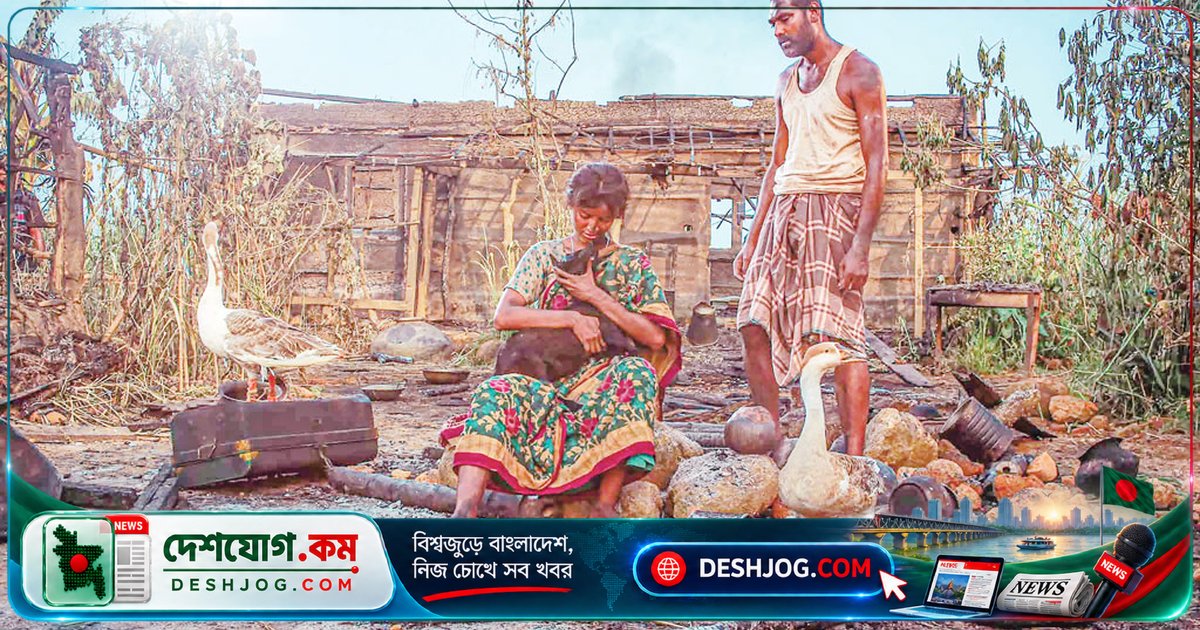 'রইদ' আন্তর্জাতিক মঞ্চে সাফল্যের শীর্ষে: কানাডার মোজাইক ফিল্ম ফেস্টিভ্যালে তিন পুরস্কার জিতেছে বাংলাদেশের চলচ্চিত্র
