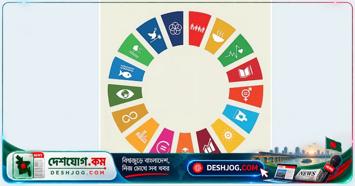 সক্ষম রাষ্ট্রের ভূমিকা কি বৈশ্বিক লক্ষ্য থেকে বেশি গুরুত্বপূর্ণ উন্নয়নে?