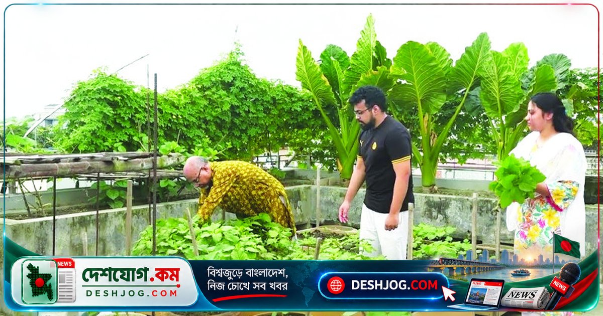 ছাদে সবুজায়ন: শহর থেকে পরিবেশ রক্ষা ও আর্থিক সুবিধা পর্যন্ত বহুমুখী উপকারিতা