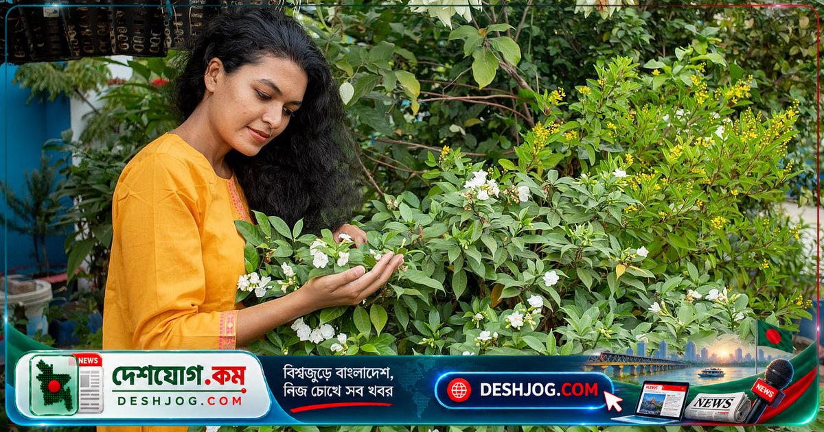 ছাদবাগানে শীতের জন্য এখনই নিন এই ১০টি গুরুত্বপূর্ণ পদক্ষেপ