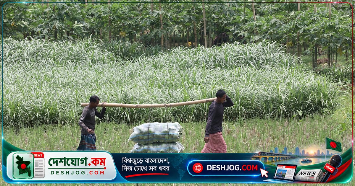 গ্রামের মানুষের উন্নয়নে অংশীদারত্ব: বাংলাদেশের অর্থনৈতিক ও সামাজিক চ্যালেঞ্জের সমাধান