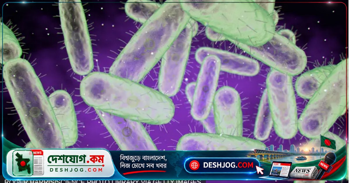 রাশিয়ার গবেষণাগারে প্লেগের ভয়াবহ সম্ভাবনা: মৃত্যুর পেছনে কী রহস্য?
