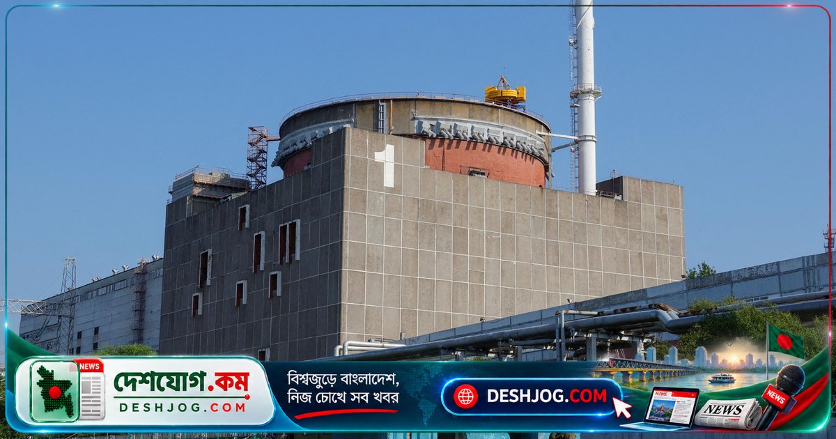 জাপরিজিয়া নিউক্লিয়ার প্ল্যান্টের বিদ্যুৎ সরবরাহ লাইন ধ্বংস: রাশিয়া নিজেই সাবোটেজ করছে, মনে করে গ্রিনপিস