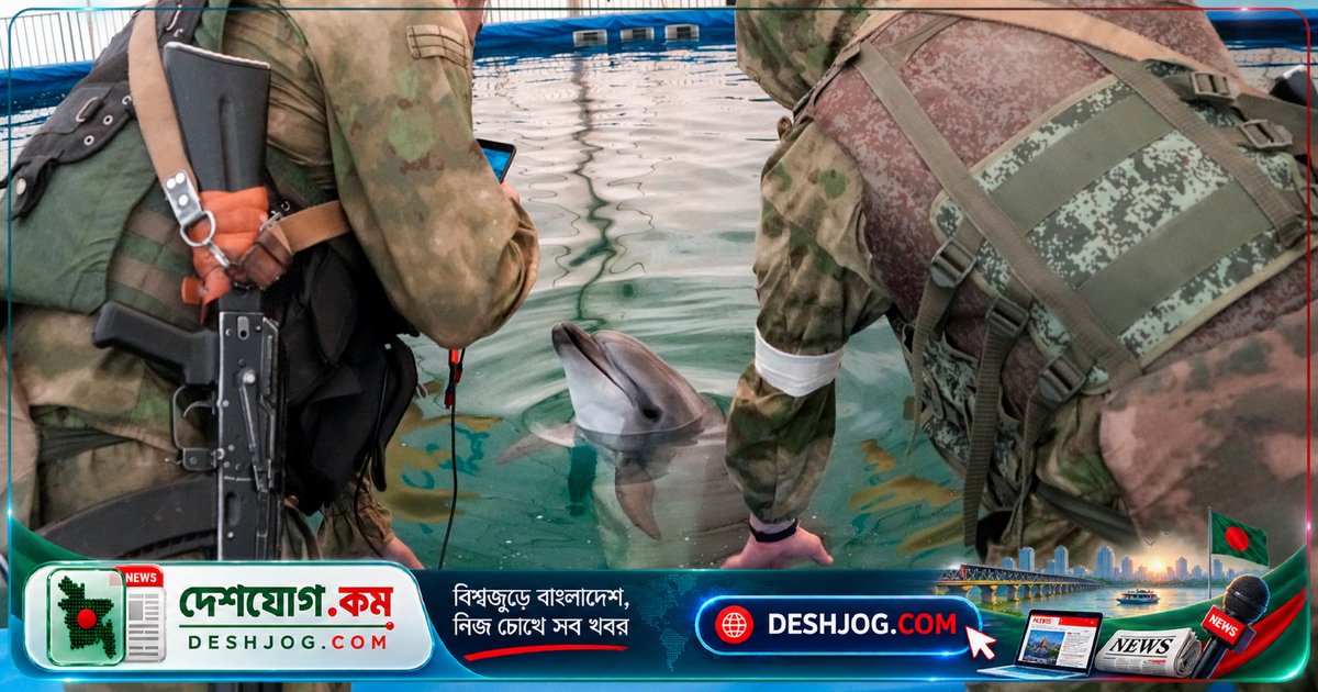 রাশিয়া-ইউক্রেন যুদ্ধে কৃষ্ণসাগরের ডলফিন ও প্রাণীজগতের ধ্বংস: মৃত্যুর সংখ্যা ১২০ হাজারের উপরে
