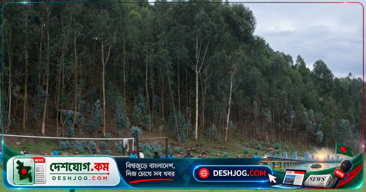 রুয়ান্ডার সশস্ত্র গোষ্ঠী FDLR থেকে ফিরে আসা সাবেক লড়াকুদের কেনো আত্মসমর্পণ: ‘ঘর ফিরে আসা ছিল আত্মহত্যার মতো’