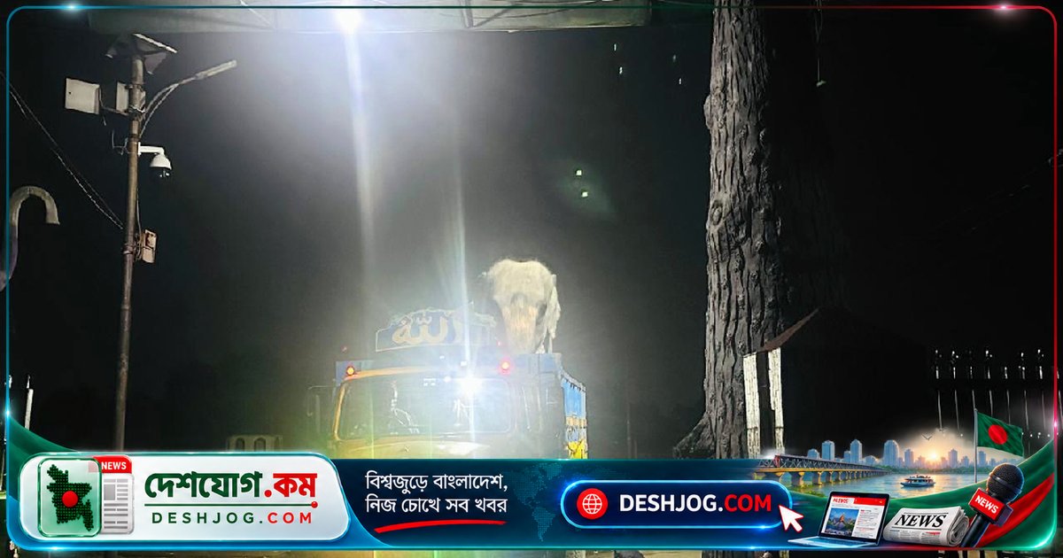 গাজীপুর সাফারি পার্কে ফিরছে নিহার কলি ও সম্রাট বাহাদুর: মন্ত্রীর নির্দেশে পুনরুদ্ধার