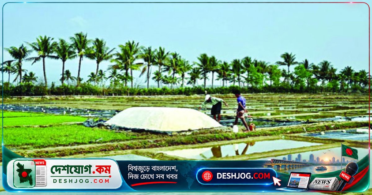 লবণচাষিদের লোকসান: ৪ লাখ টন অবিক্রীত লবণে আমদানি অনুমতি দিলে চাষিরা হতাশায় নিমজ্জিত