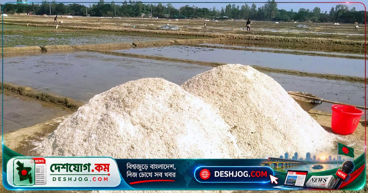 লবণ আমদানি অনুমতি: চাষিরা ক্ষুব্ধ, সরকারের সিদ্ধান্তে বিতর্কের জ্বালা